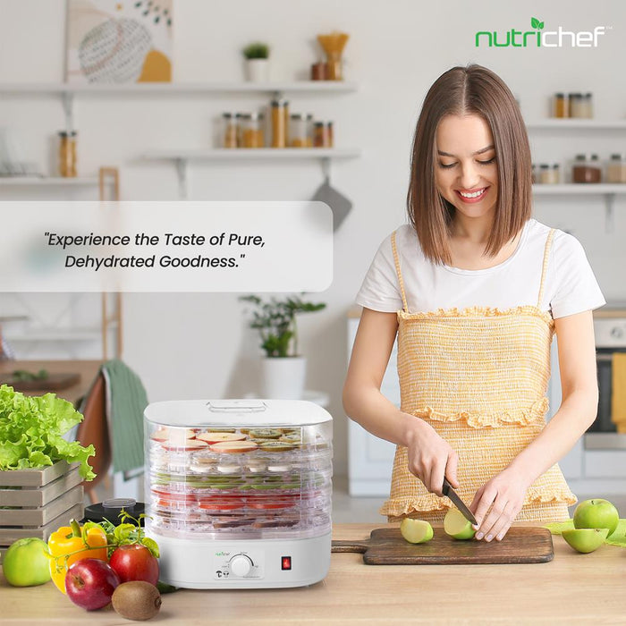 Electric Countertop Food Dehydrator, Food Preserver