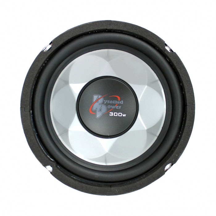 6'' 300 Watt Subwoofer